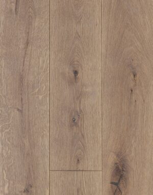 Almond, C 5050