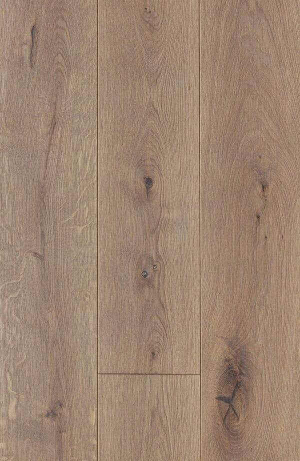 Almond, C 5050