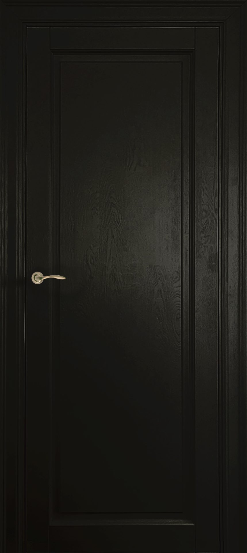 Drewniane drzwi wewnętrzne NAVE NCS S 9000 N