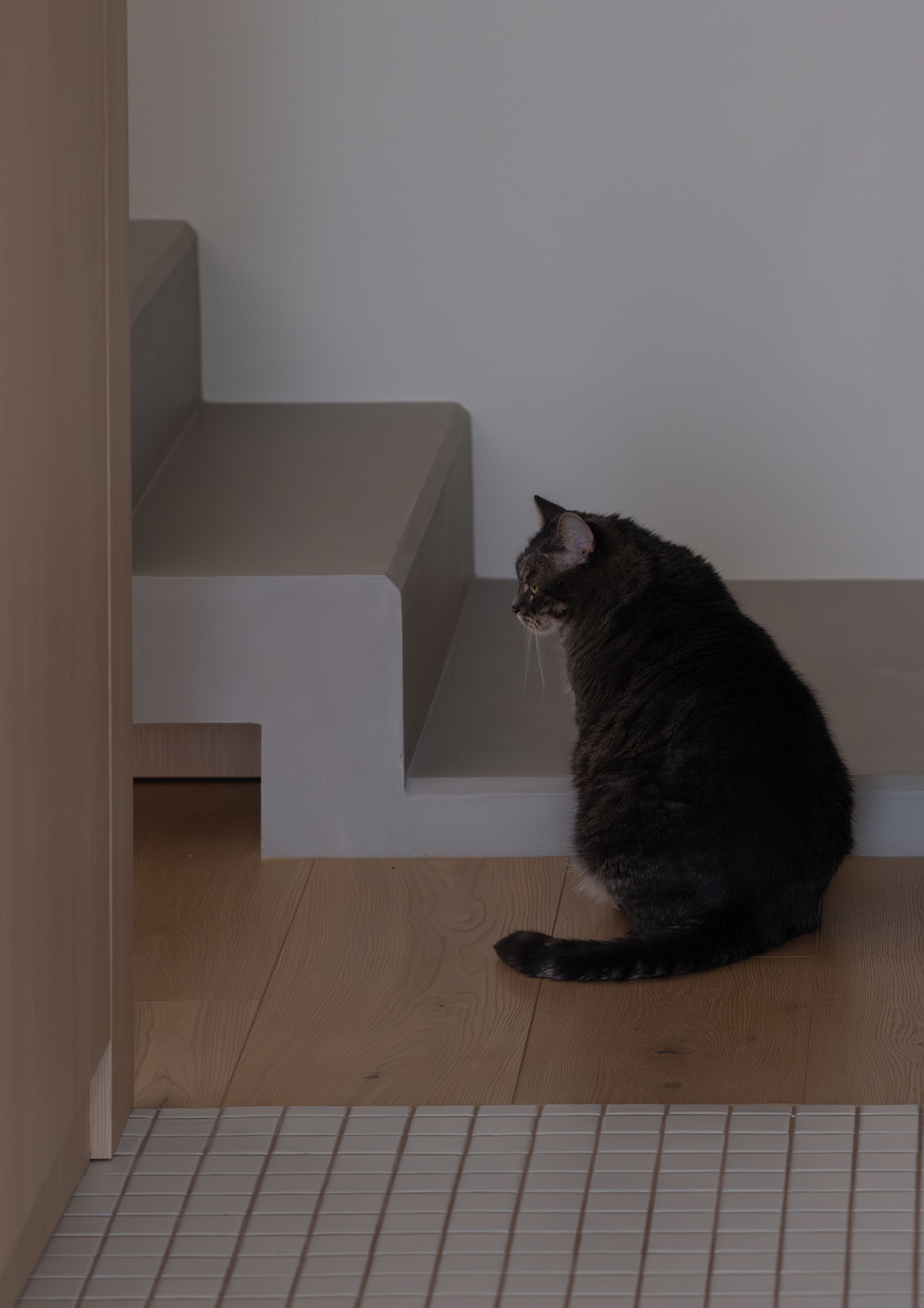 Apartamenty, w których subtelność spotyka się z naturą