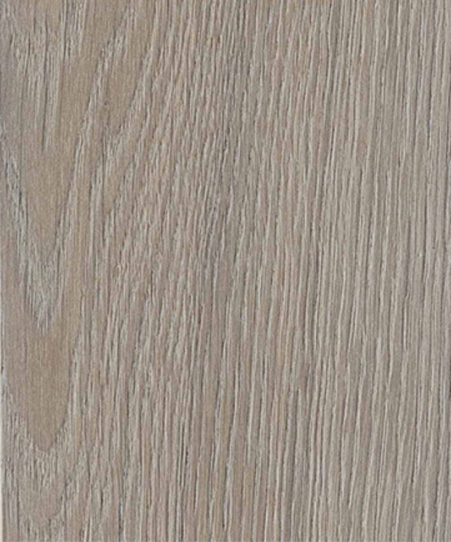 Ivory, E-2410